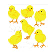 Baby Chicks 50-20535
