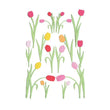 Pink Orange Tulip Stickers MS-M860357