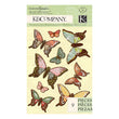 Engraved Garden Butterfly Grand Adhesions KCO-30-619098