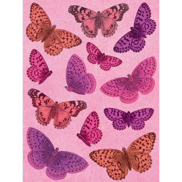 Smitten Butterfly Grand Adhesions KCO-568716