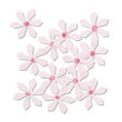 Pink Passion JJAA131A
