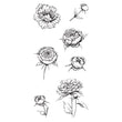 Flora F-03-022556