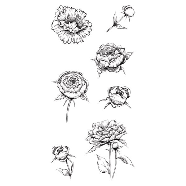 Flora F-03-022556