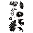 Naturescape F-03-022536