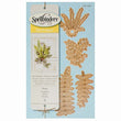 Ferns SB-S2-197