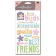 Friendship S-SPPCSTKR12