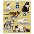 Variety of Cats Sticker Medley KCO-30-587908
