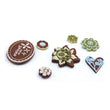 Cappella Gummies BG-CAP-2421