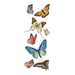Butterflies SPJJ162