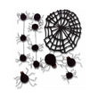 Spider Webs SPJB022