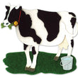 Cow JJJA200C