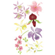 Colorful Orchids 50-50029