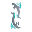 Dolphins 50-40103