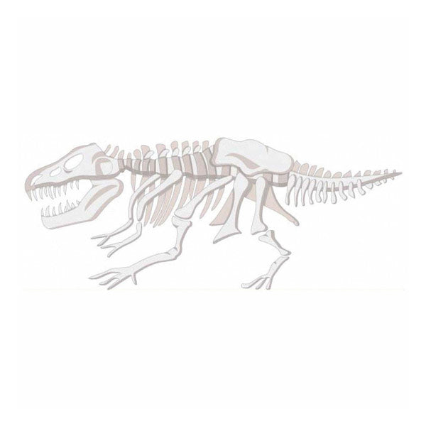 T Rex Fossil JJNA055B