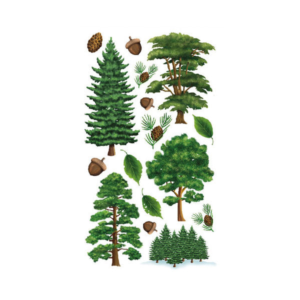 Majestic Trees S-52-007922