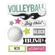 SS-1169 Volleyball