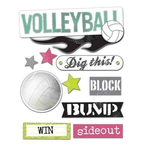 SS-1169 Volleyball