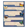 Bible Quotes Sticker Medley KCO-586888