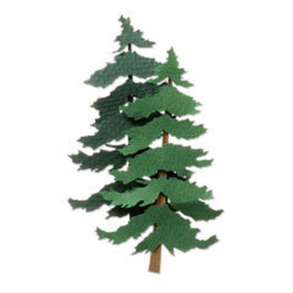 Pine Trees JJAB071B
