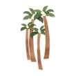 Coconut Palm JJAB063B