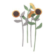 Sunflowers JJAC011B