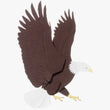Bald Eagle JJBA008C