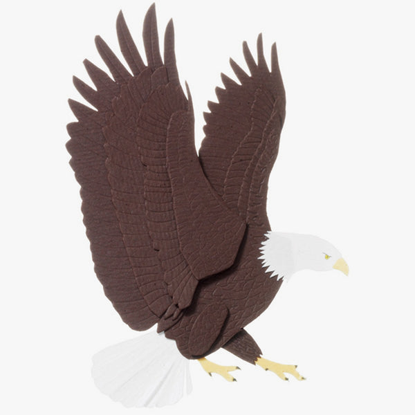Bald Eagle JJBA008C