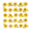 Sunflower Repeats 50-20753