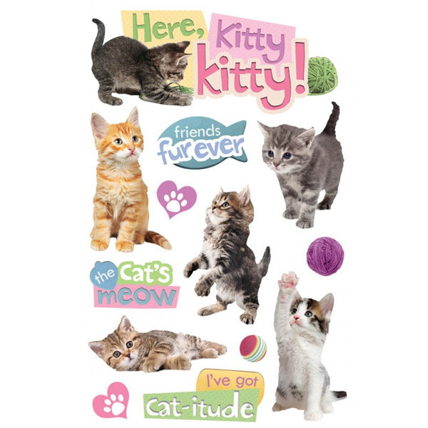 Kittens PH-STDM-0147