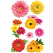 Flowers PH-STDM-0121