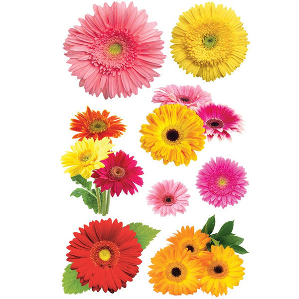 Flowers PH-STDM-0121