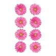 Pink Gerbera S-52-01003
