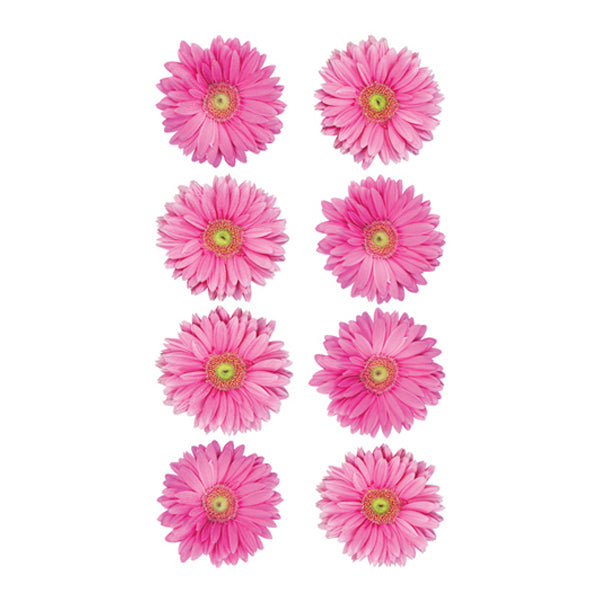 Pink Gerbera S-52-01003