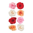 Rose Mix S-52-01071