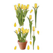 Yellow Tulips S-52-00977