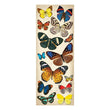 Natural Butterflies Adhesive Chipboard KCO-30-137110