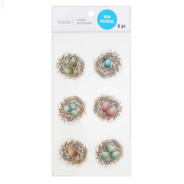 Bird Eggs in Nest R-667148