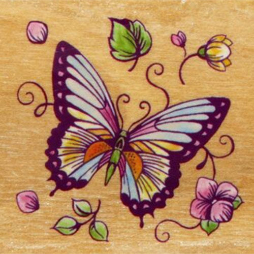 Butterfly D-3620E