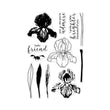 Color Layering Iris HA-CM318