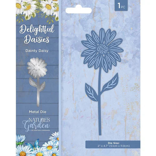 Dainty Daisy CCO-NG-DD-MD-DD