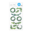 Eucalyptus R-665104