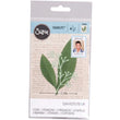 Eucalyptus SZX-562403
