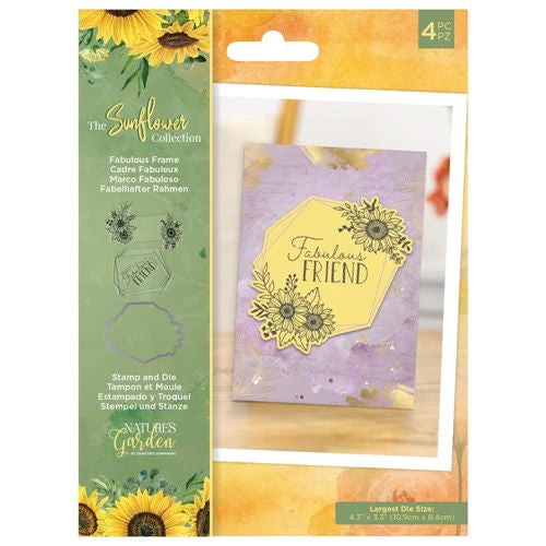 Fabulous Frame CCO-NG-SUN-STD-FFRA