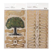 Family Tree R-665784