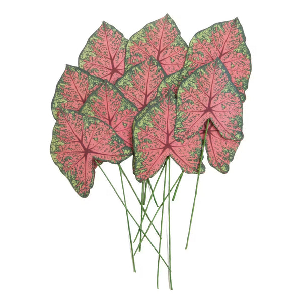 Paper Leaves Green and Pink Caladium R-684153
