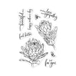 Protea Flowers HA-CM448