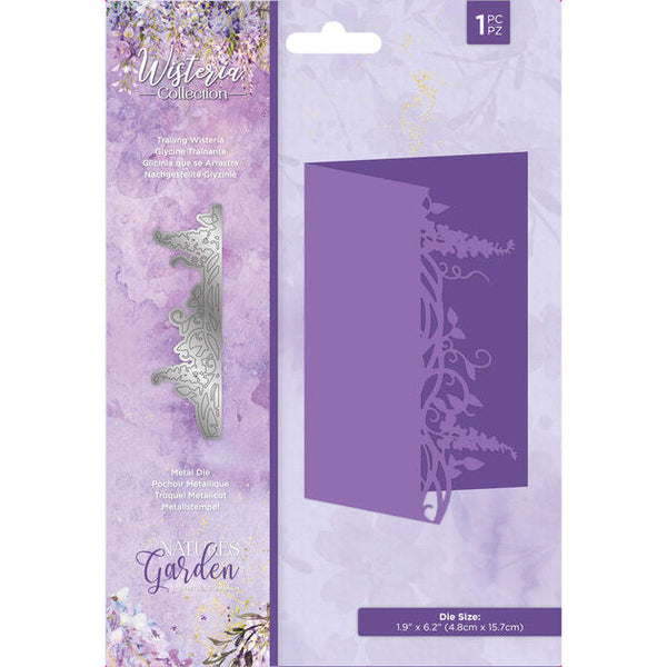 Trailing Wisteria CCO-NG-WC-MD-TWIS