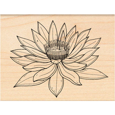Water Lily PB-4307H